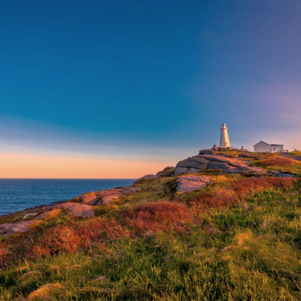 Travel far, comfortably, with Princess