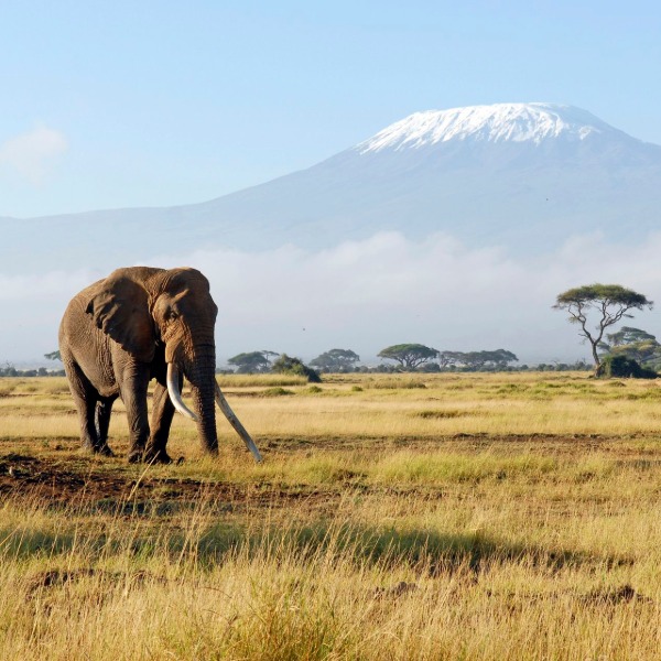 Go beyond the guidebook with Kensington Tours